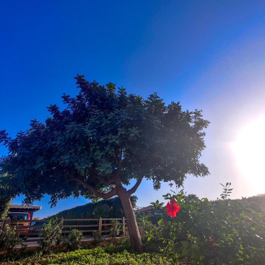 Villa Castiglione Custonaci Dış mekan fotoğraf